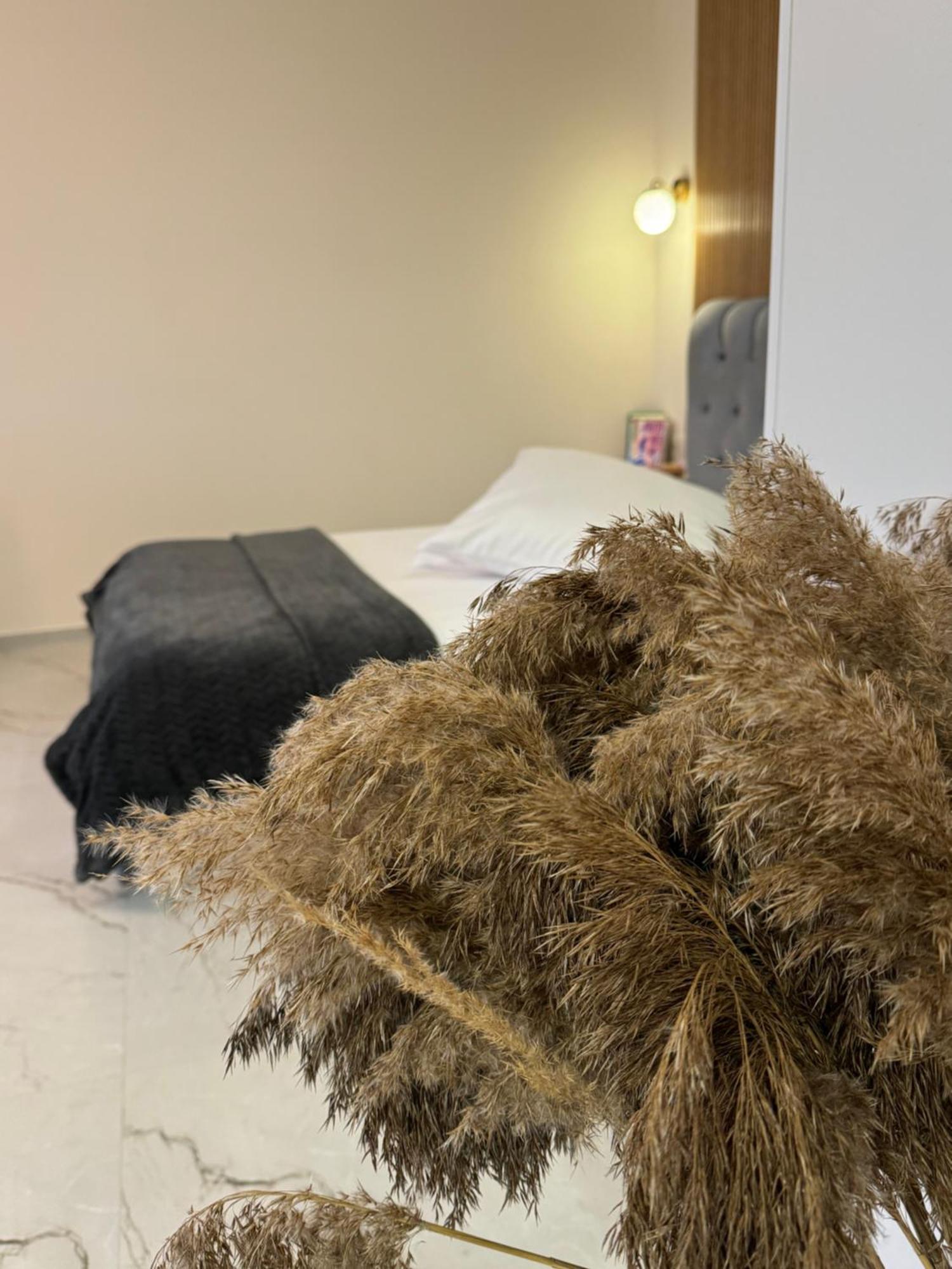 Baltic Avenue Apartment Клайпеда Екстериор снимка